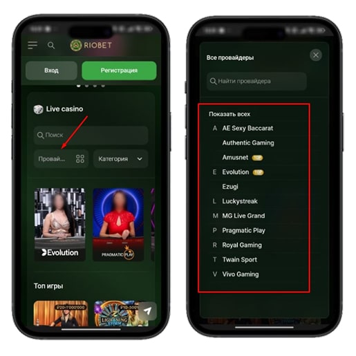 Провайдеры в казино Riobet