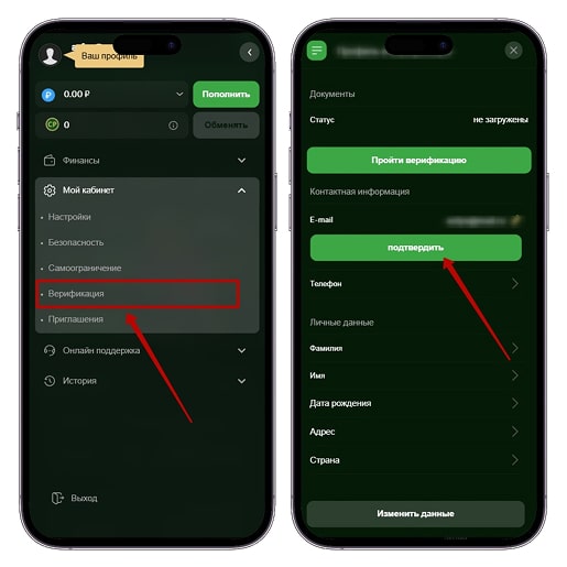 Прохождение верификации 