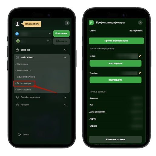 Первичная верификация